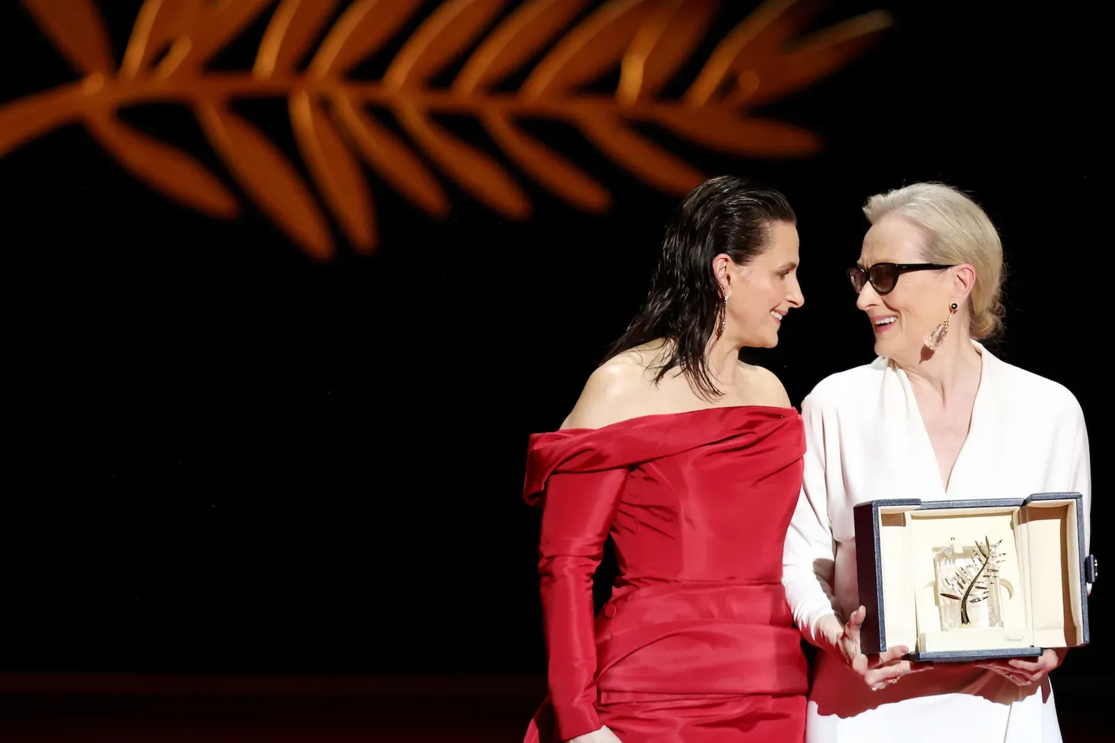 Meryl Streep, Camille Cottin, and Juliette Binoche Stun in Dior at the 77th Cannes Film Festival Opening Ceremony