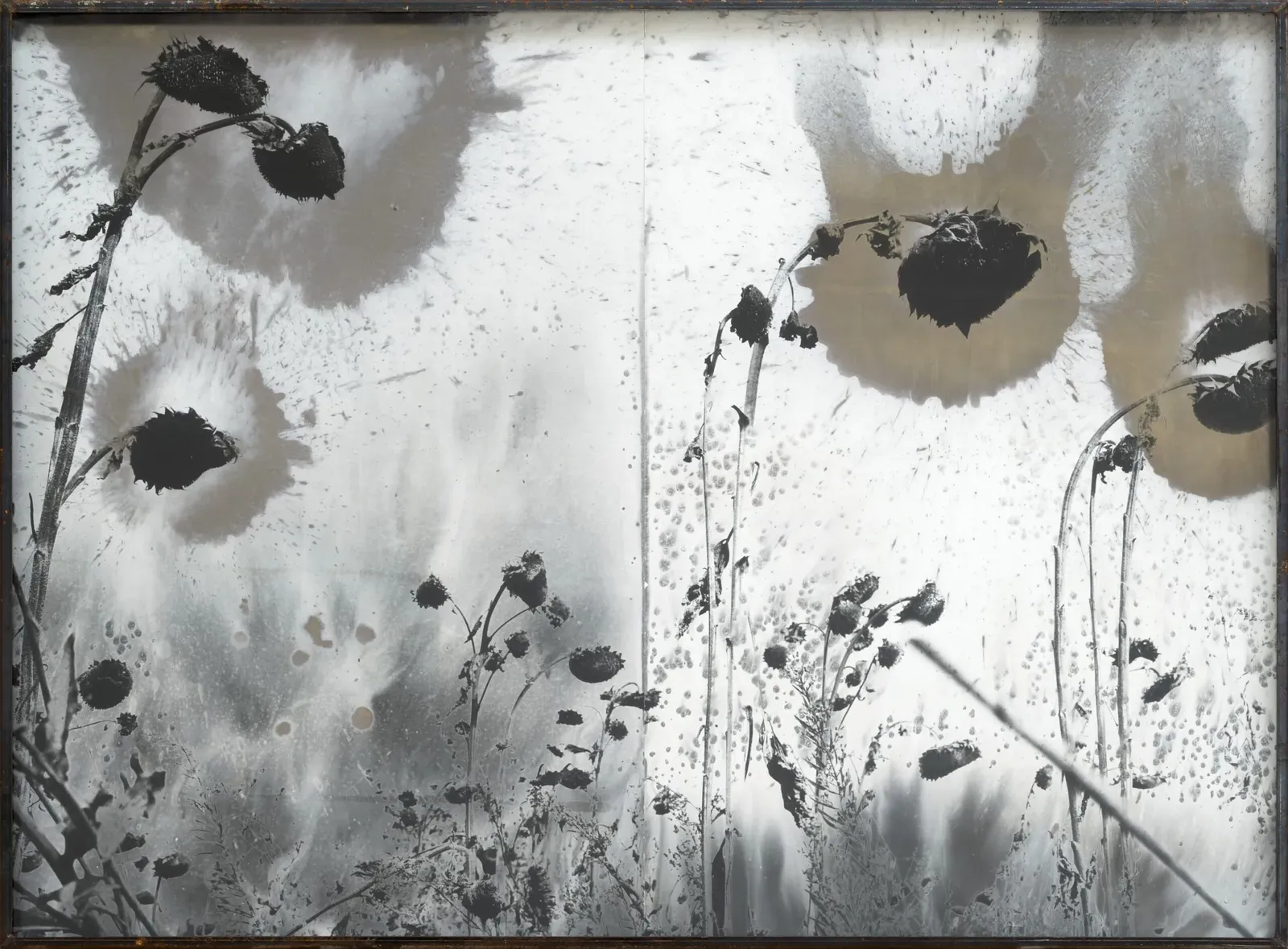 Anselm Kiefer’s Unveiled Photography: ‘For Robert Fludd’ at Gagosian Paris