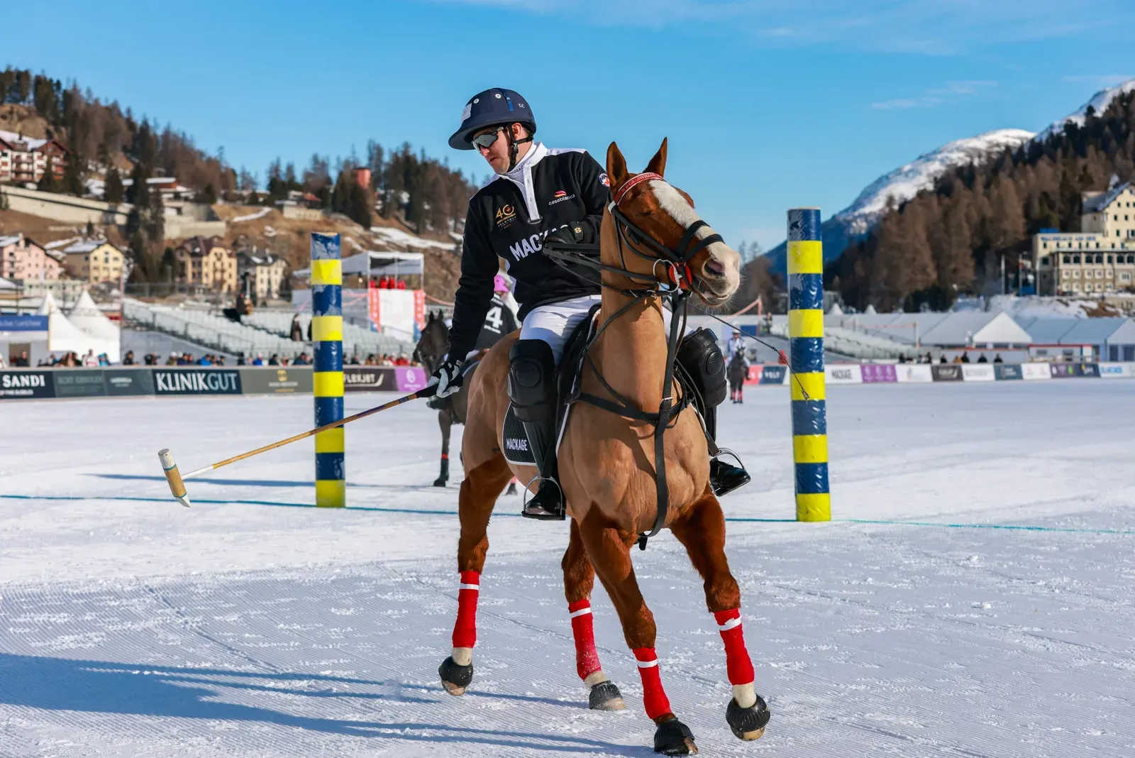 Mackage snow polo 2025