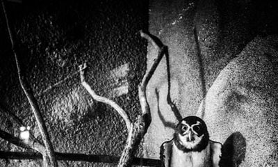Australian Photographer Meg Hewitt Debuts in Germany with “Tokyo is Yours”