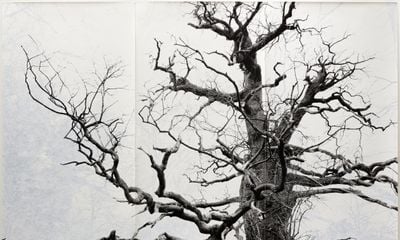 The Menil Collection Presents ‘Tacita Dean: Blind Folly’ – A Visionary Exhibition Bridging Analogue Art and Modern Reflection