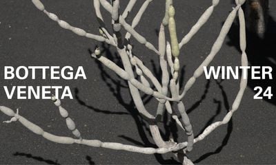 Bottega Veneta Captures Nature’s Reflection in Winter ’24 Collection Teaser