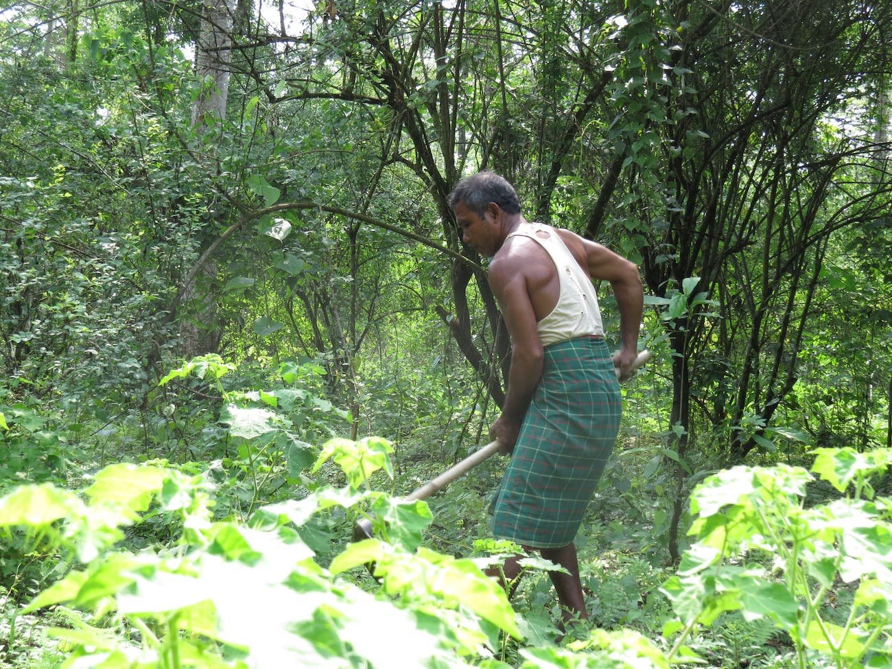Jadav Payeng, 'Forest Man at Work,' photography by Rituraj Phukan