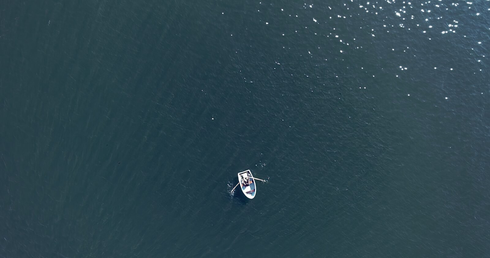 Coco Fusco, still from Your Eyes Will Be an Empty Word, 2021. HD video, color, sound; 12 min. Collection of the artist, and Alexander Gray Associates, New York. Image courtesy the artist and Alexander Gray Associates, New York