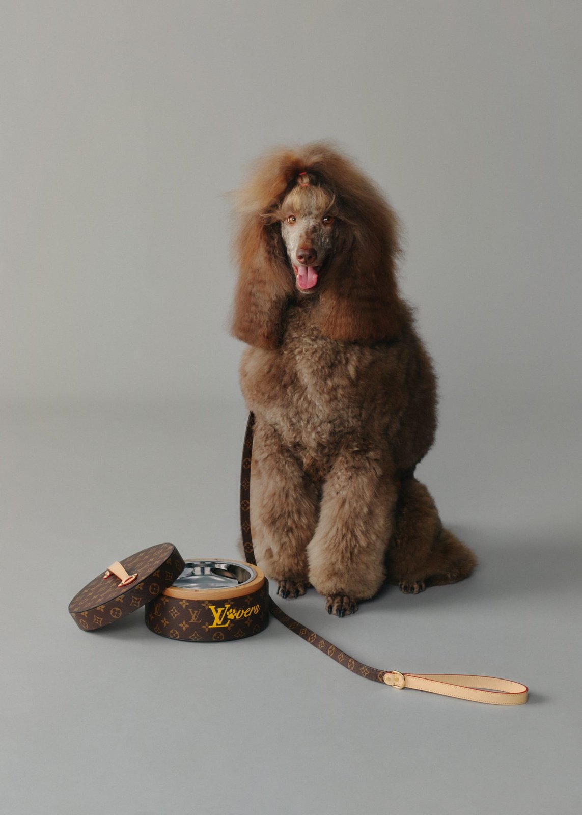 A Standard Poodle poses alongside the Louis Vuitton Dog LV𝓋𝑒𝓇𝓈 Monogram Canvas pet collection, featuring a dog bowl with carry case and matching leather leash. (Photo: Courtesy of Louis Vuitton)