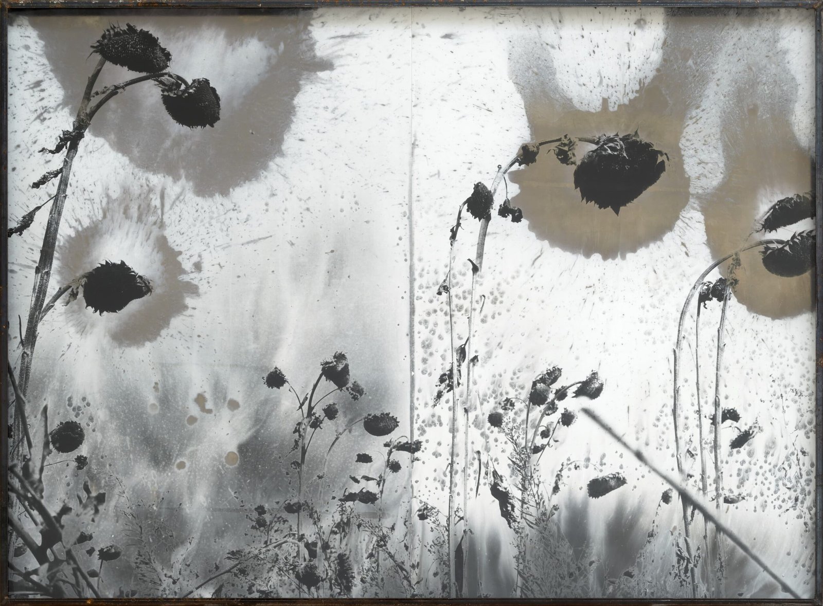 Anselm Kiefer’s Unveiled Photography: ‘For Robert Fludd’ at Gagosian Paris
