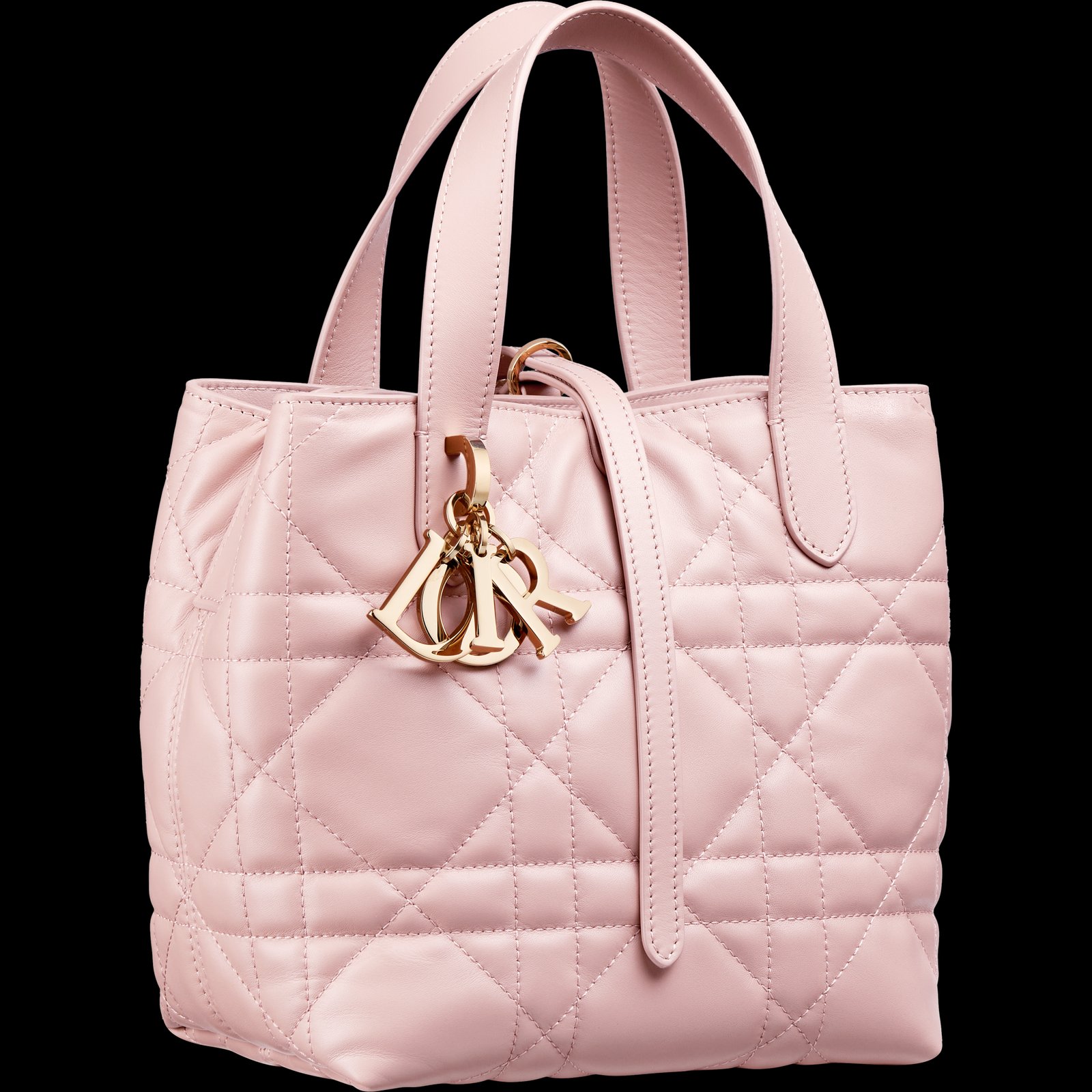 DIOR CRUISE 2025 TOUJOURS Vertical Bag