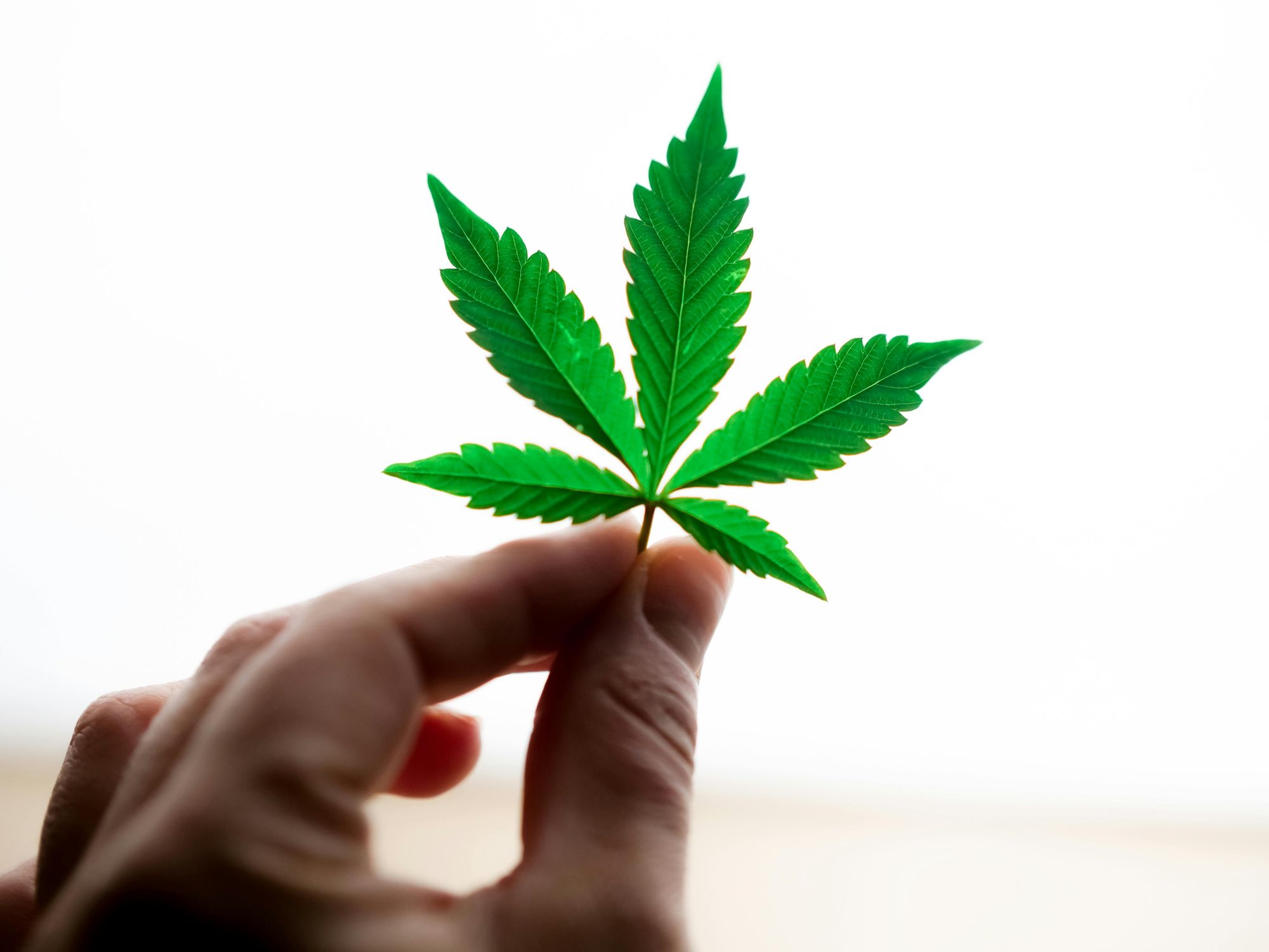 Marijuana image