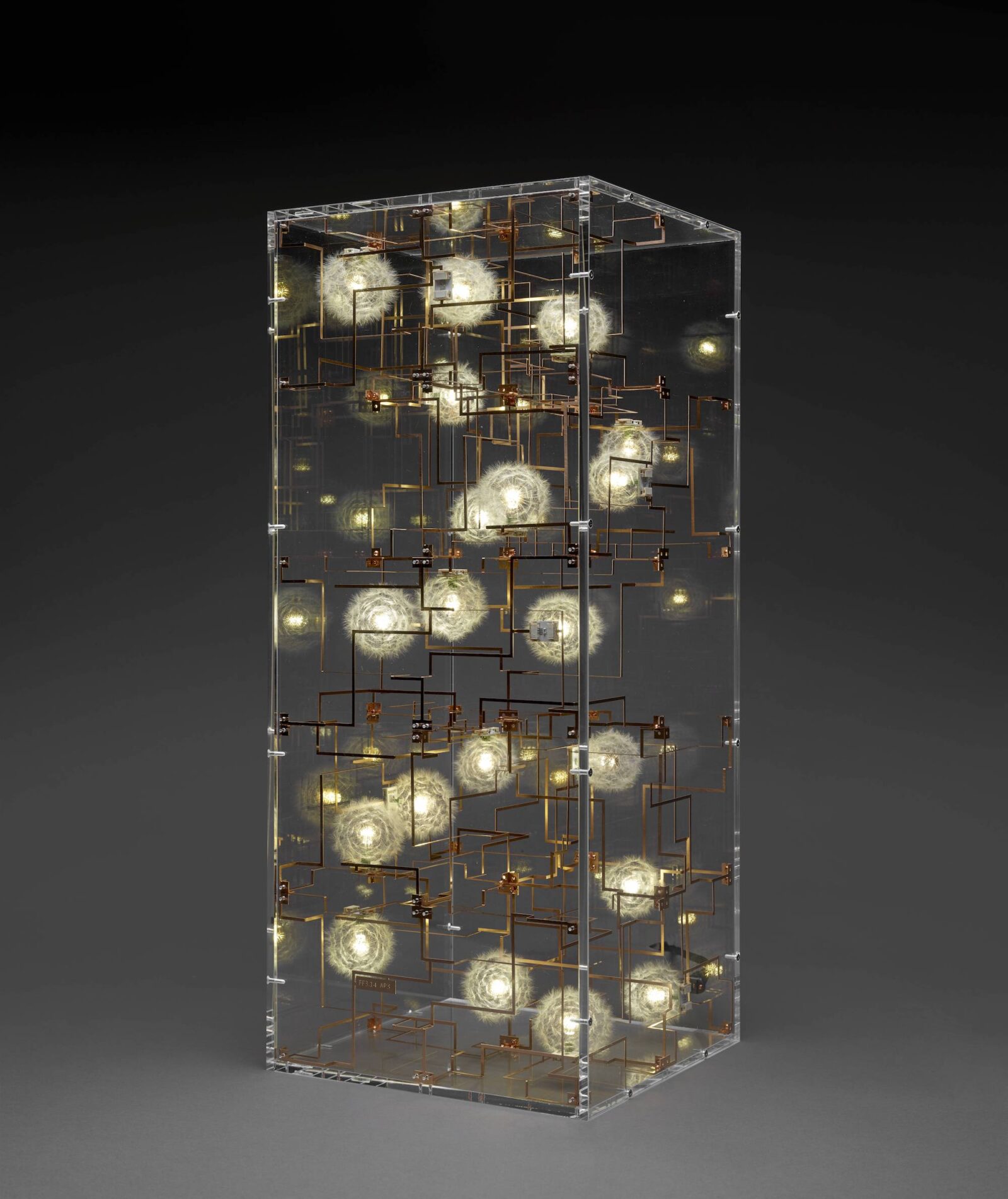 DRIFT, Fragile Future 3.14, designed 2015, made 2018, dandelion seed, phosphorus bronze, LED, and Perspex, the Museum of Fine Arts, Houston, museum purchase funded by the Design Council, 2018. © 2015 DRIFT