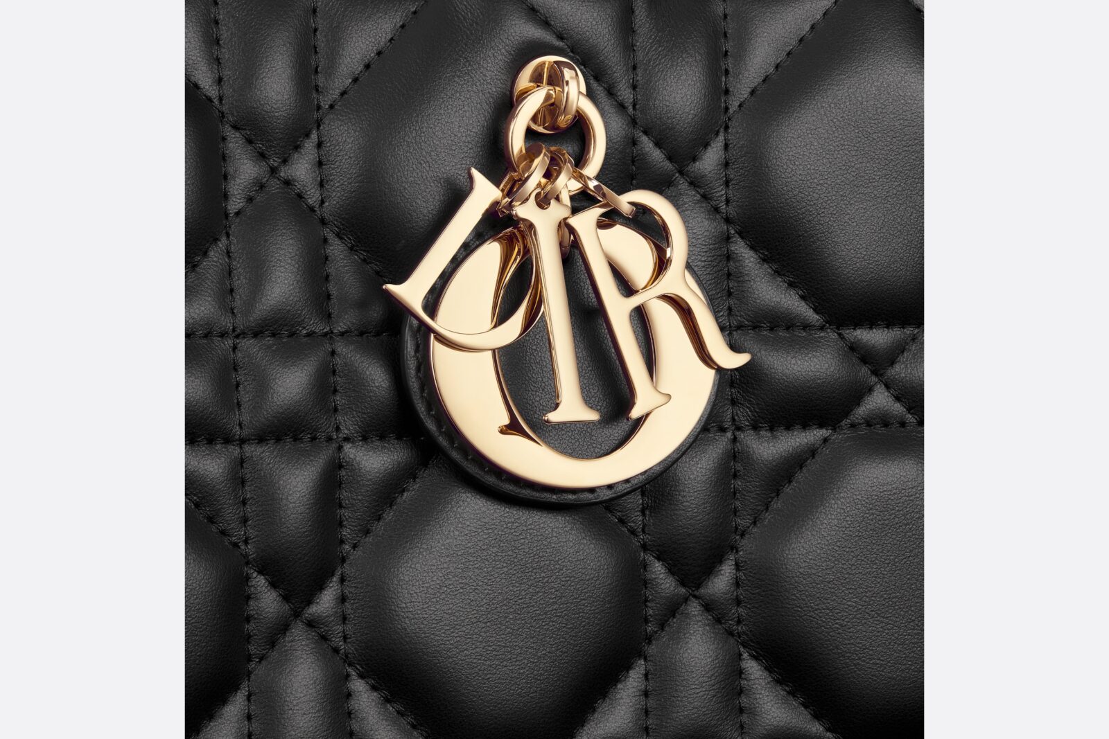 Iconic Detailing: A close-up of the 'D, I, O, R' charms, the quintessential finishing touch to Dior's storied design.