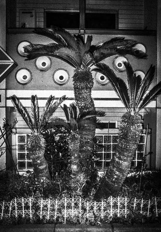 Meg Hewitt Perky Trees, Tokyo, 2016 © Meg Hewitt courtesy Anne Clergue Galerie