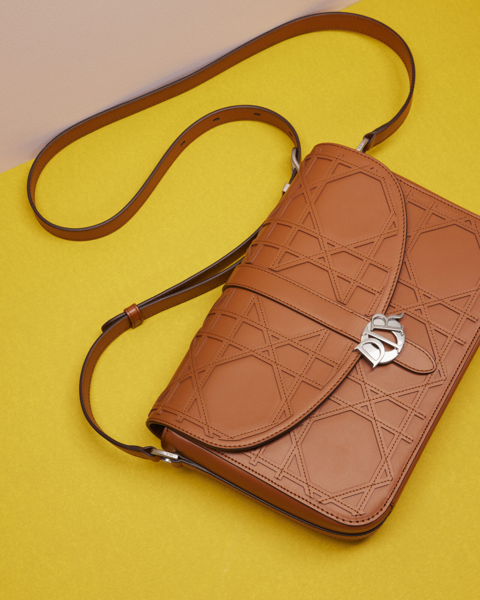 Captured by Jackie Nickerson, the cognac Dior Charm Bag juxtaposes its meticulous craftsmanship against a vivid yellow backdrop, embodying the artful essence of Dior's Summer 2024 vision.
