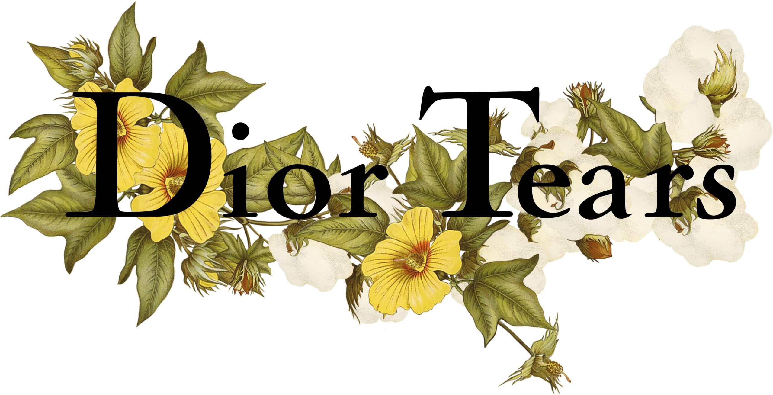 Dior Men’s announces an unprecedented capsule collection with Denim Tears