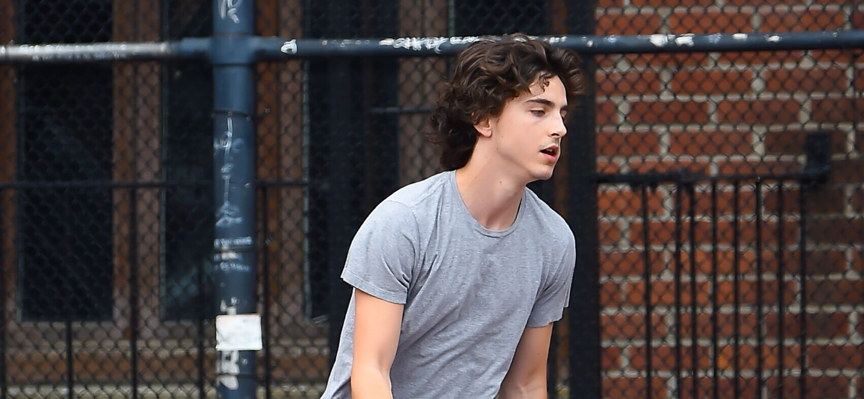 Timothée Chalamet Hits the Court in Adidas Basketball Trae 2