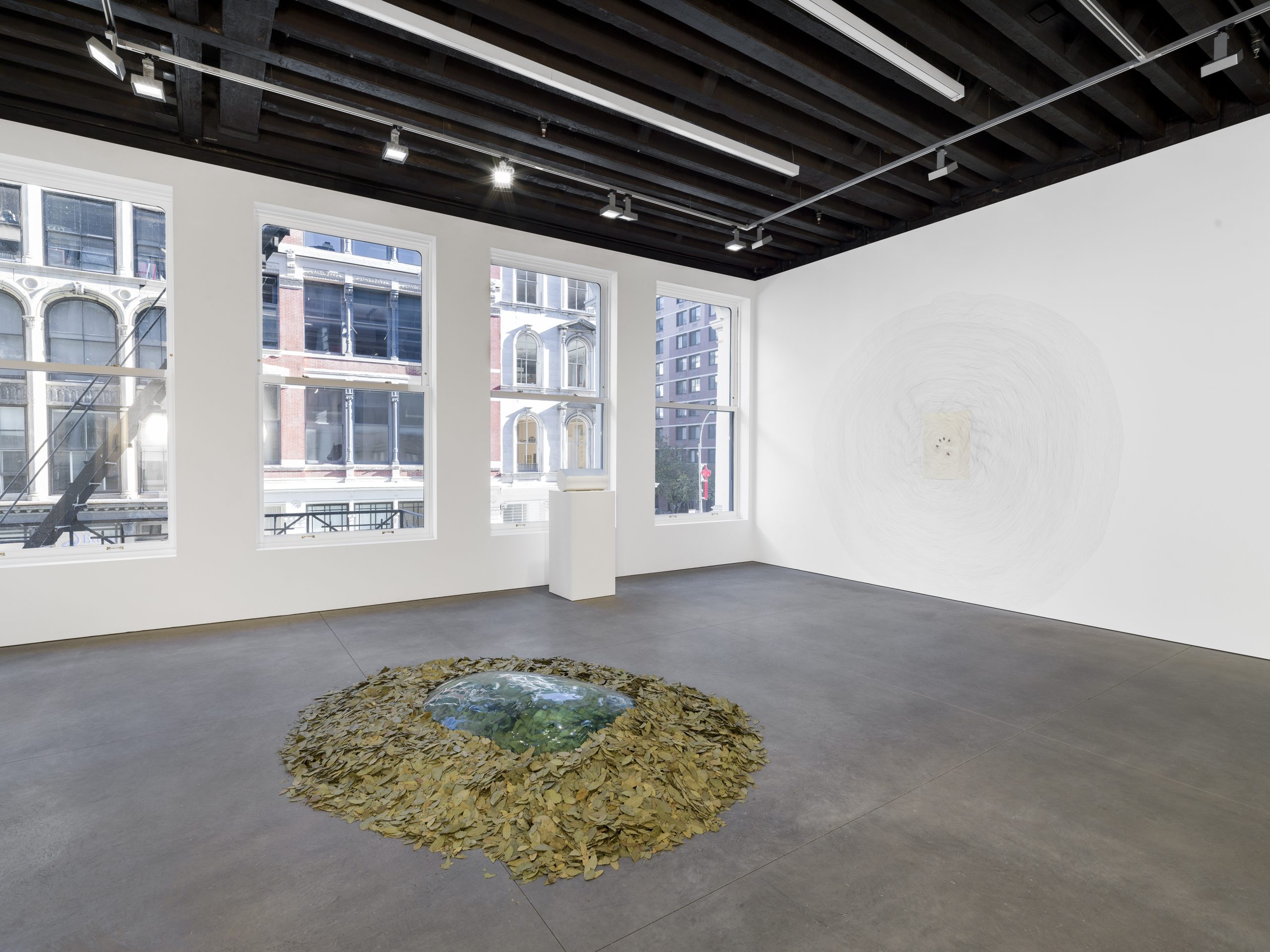 Installation view of "Your Patience Is Appreciated," Marian Goodman Gallery, New York, 2024. Photo: Alex Yudzon