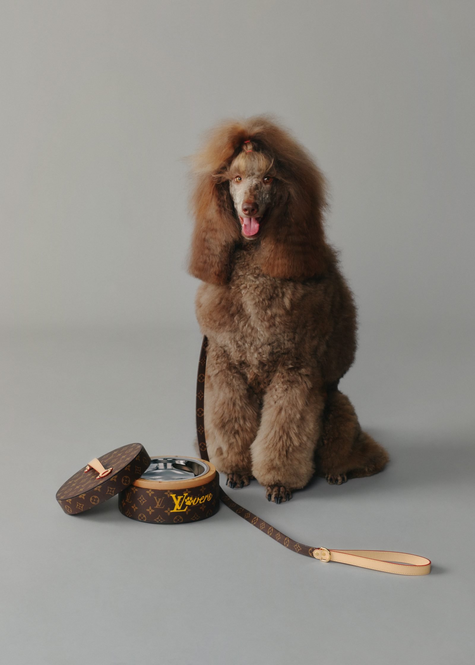 A Standard Poodle poses alongside the Louis Vuitton Dog LVππππ Monogram Canvas pet collection, featuring a dog bowl with carry case and matching leather leash. (Photo: Courtesy of Louis Vuitton)