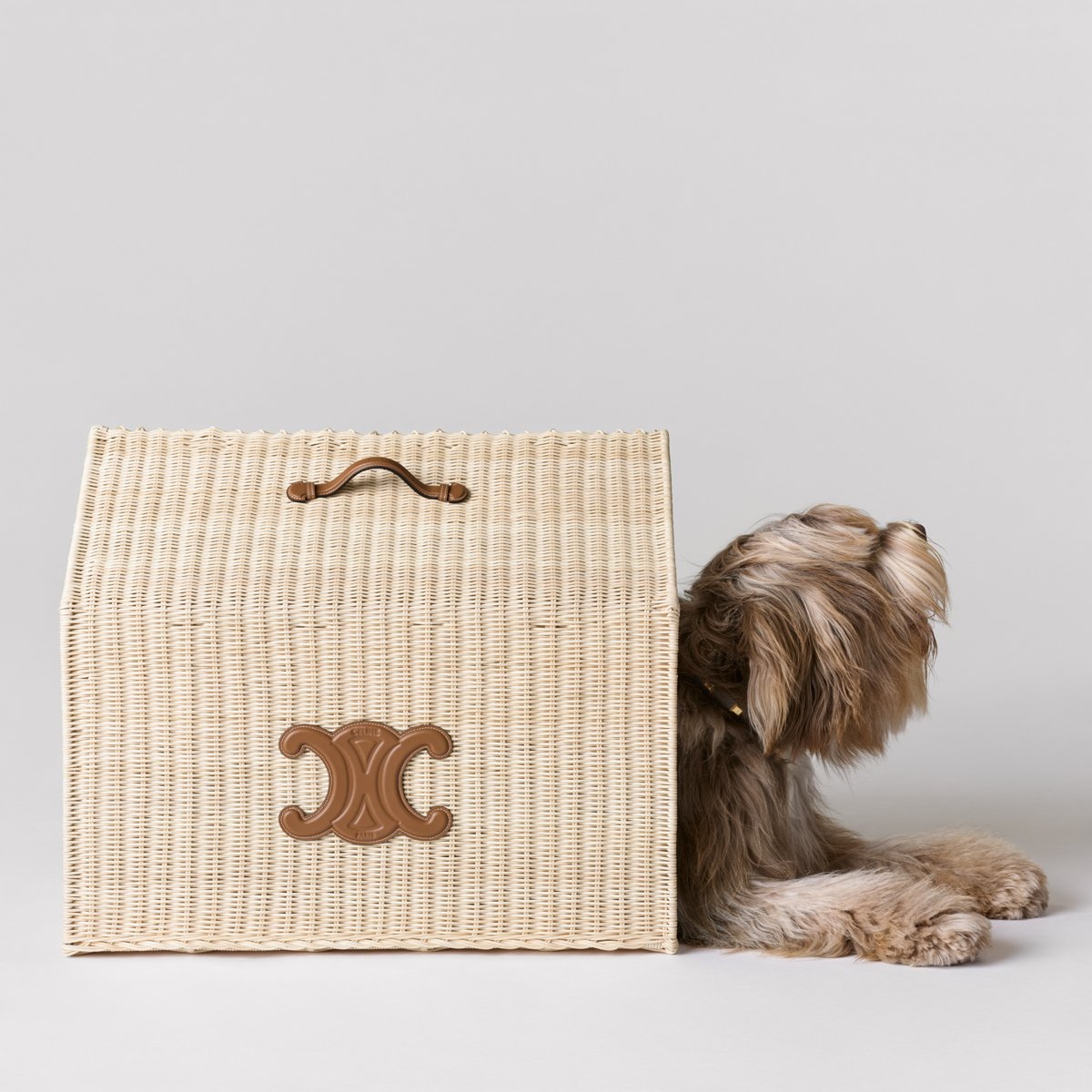Discover the Exquisite New Arrivals in Celine’s Dog Accessories Collection