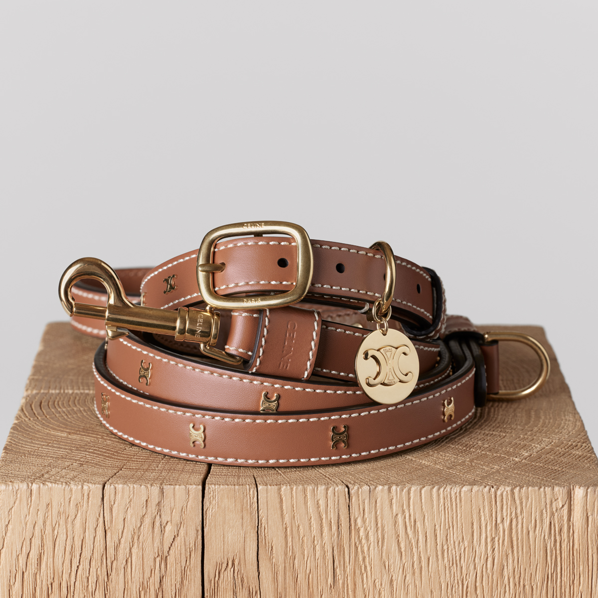 The Epitome of Canine Chic: Celine Collar and Leash Set
