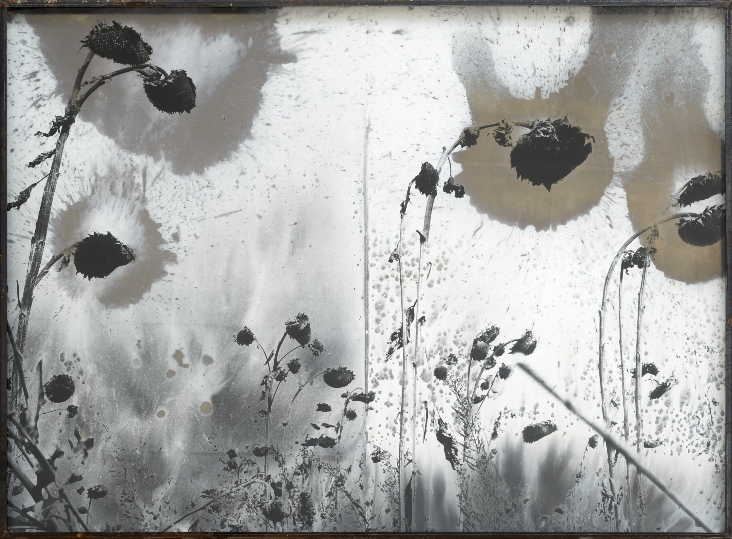 Anselm Kiefer’s Unveiled Photography: ‘For Robert Fludd’ at Gagosian Paris