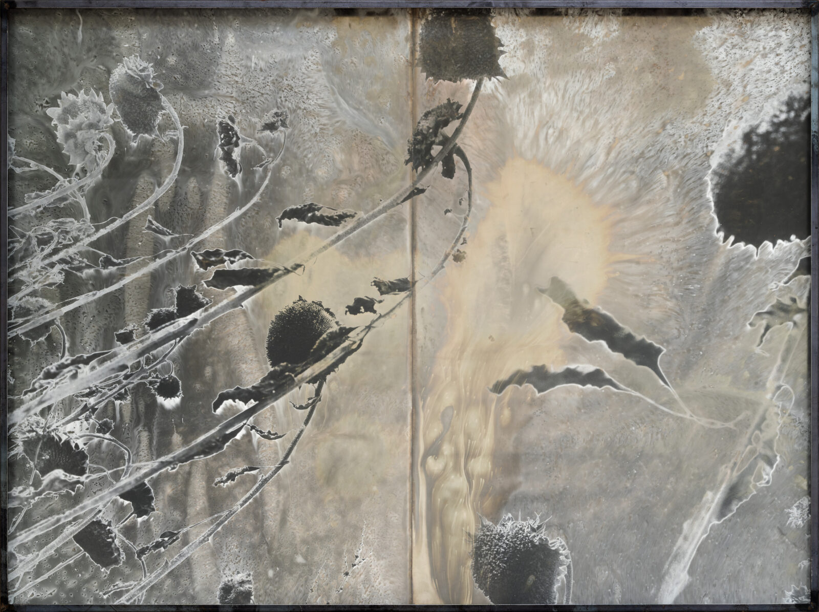 ANSELM KIEFER Les Fleurs du Mal (The Flowers of Evil), 1994–2012 Solarized gelatin silver print with silver toner, in steel frame 55 1/2 x 75 3/16 x 3 15/16 inches (141 x 191 x 10 cm) © Anselm Kiefer Photo: Charles Duprat Courtesy Gagosian