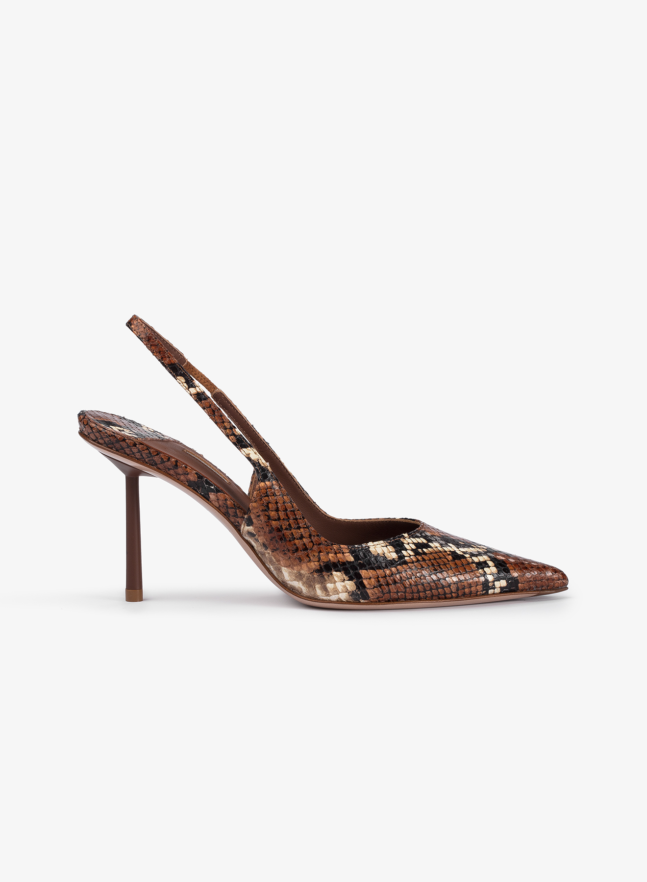 Le Silla Safari