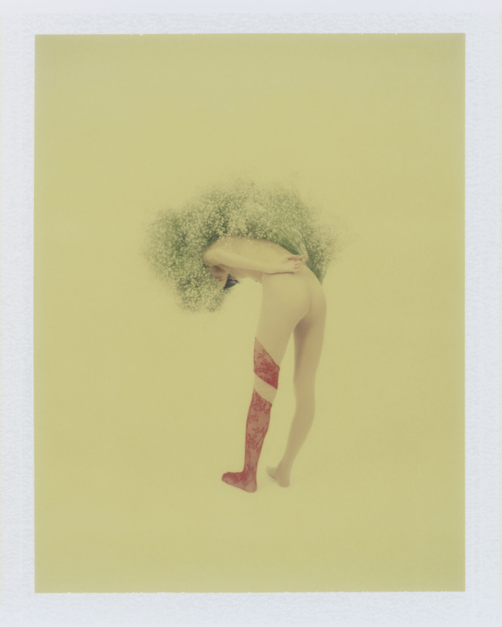Stockings by JENNY FAX