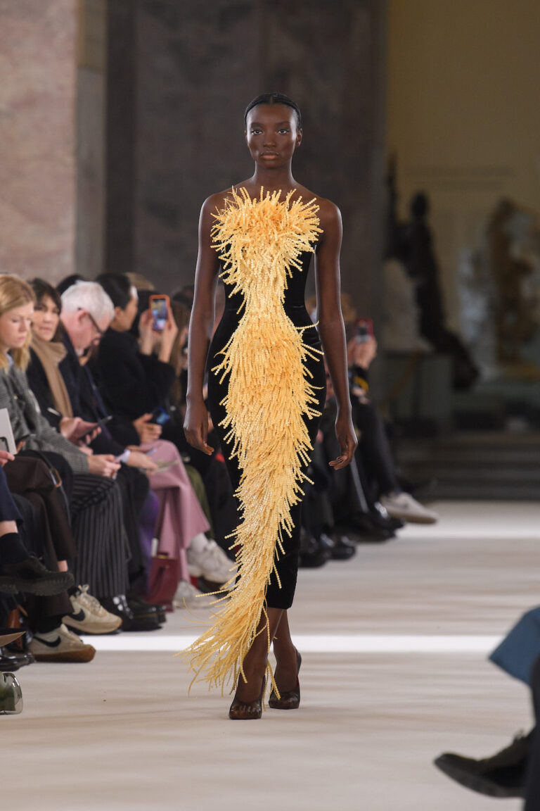 SCHIAPARELLI COUTURE SPRING SUMMER 2023