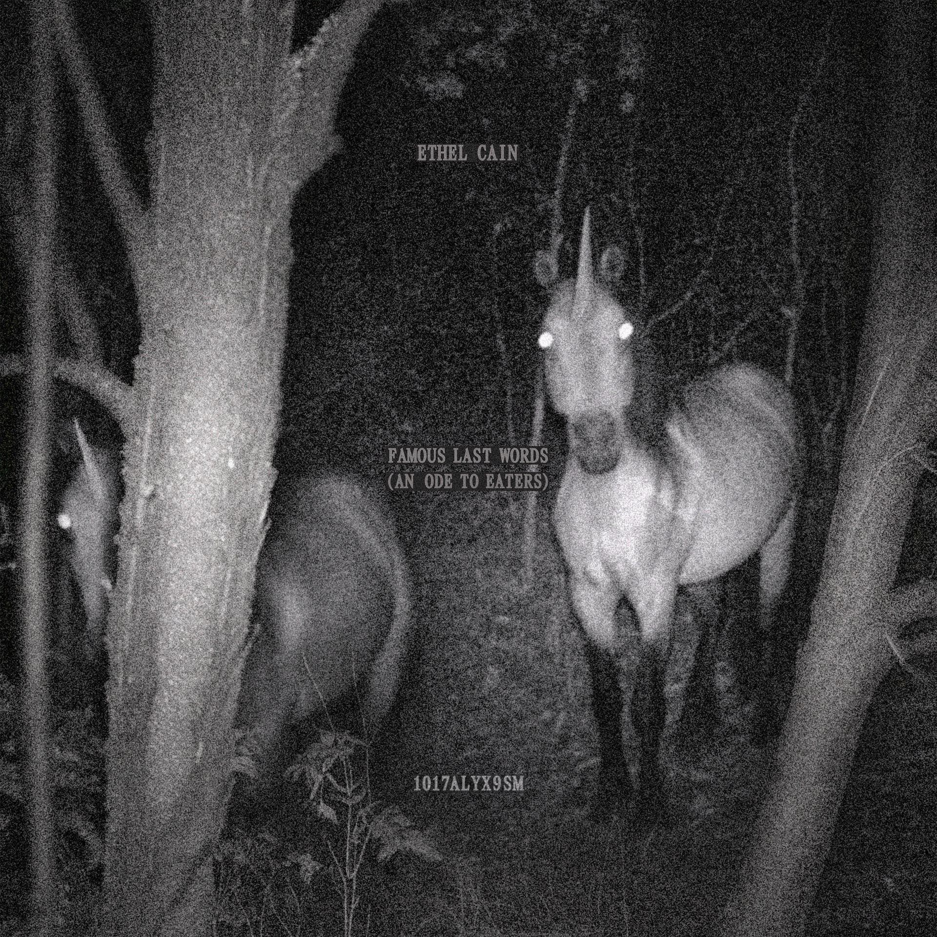 Ethel Cain and Matthew M. Williams Unite: Haunting Debut Single in 1017 ALYX 9SM COMPILATION VOL.1